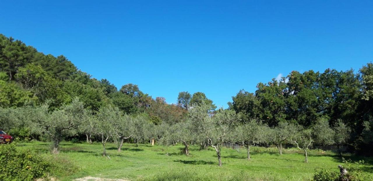 Agricampeggio Borgo Agna 산기스티노발다르노 외부 사진